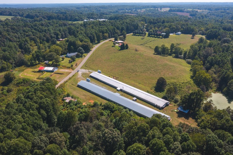 Chicken House Farm 3